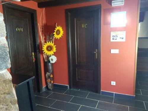Casa Das Airas ซาร์เรีย ภายนอก รูปภาพ